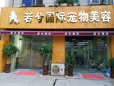 河南寵物美容價(jià)格