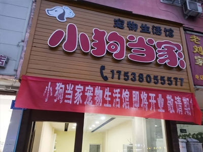 寵物美容費(fèi)用情況
