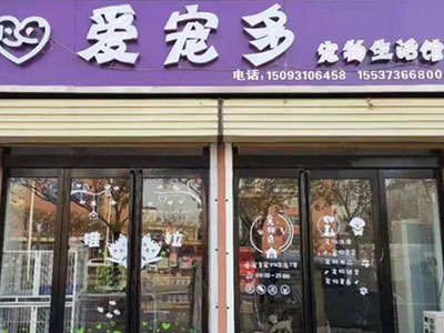 河南寵物美容費(fèi)用